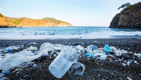 Ridurre Linquinamento Marino Eliminando La Plastica ANACI Italia Servizi