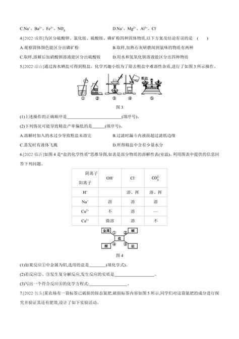 2023年中考化学总复习一轮分层训练 11 盐 化肥（广西专用、含答案）21世纪教育网 二一教育