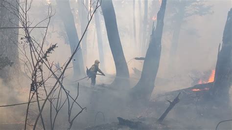 Cómo Continúan Los Incendios Forestales En Parques Nacionales