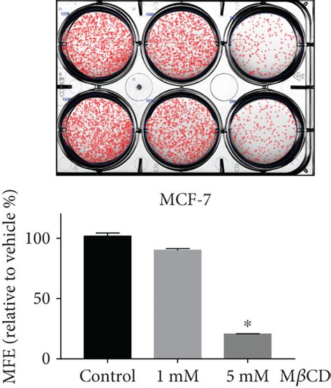 The Expression Levels Of Nox Genes And Enzymes In Breast Cancer And