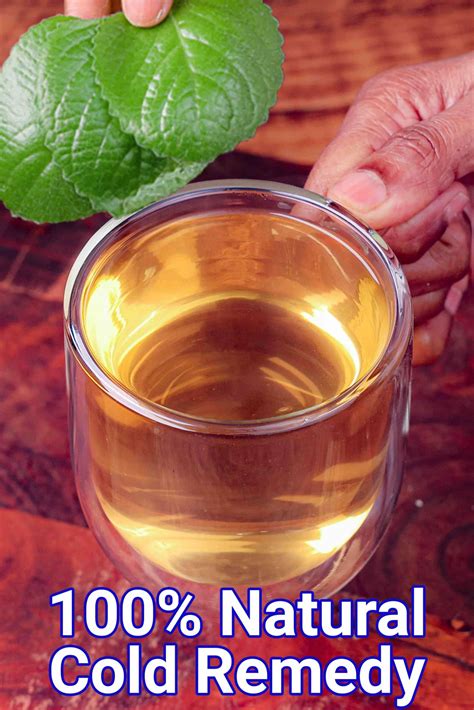 Ajwain Leaves Benefits And Uses Doddapatre Kashaya Drink