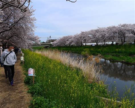 THE 15 BEST Things to Do in Asaka - UPDATED 2023 - Must See Attractions ...