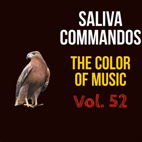 Stream The Color Of Music Vol By Saliva Commandos Listen Online