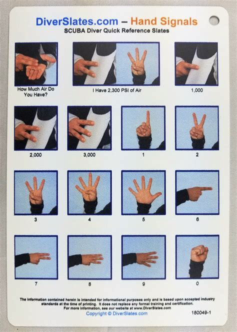 Hand Signals Dive Slates 2 Slates Important Scuba Equipment For All Divers