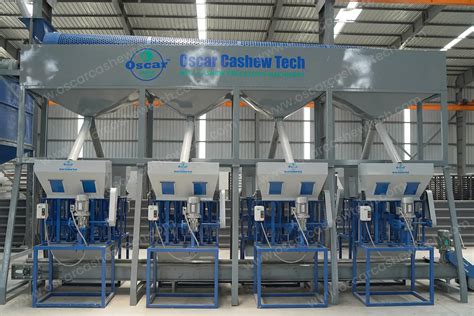 Automatic Cashew Shell Cutting Machine Horizontal System Cashew Nut