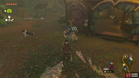 Beedle The Legend Of Zelda Tears Of The Kingdom Database Gamer Guides®