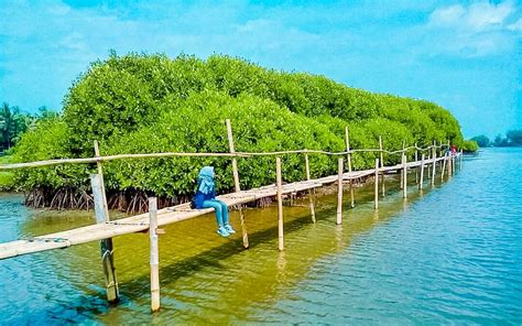 Kunci Sukses Ekowisata Pesisir Pengelolaan Hutan Mangrove Yang Terpadu