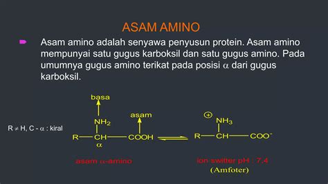 Protein Biokimia Ppt