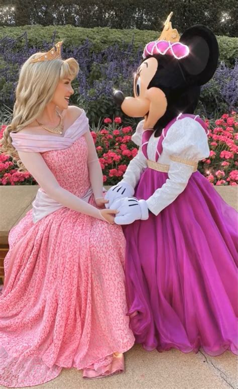 Princess Aurora And Minnie Mouse Disney World Characters Disney