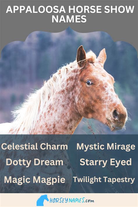 220+ Appaloosa Horse Names with Meanings and Generator