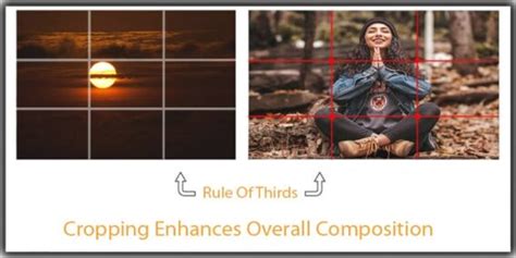 Cropping In Photography - A Beginner's Guide