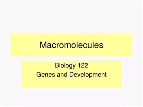 Ppt Macromolecules Powerpoint Presentation Free Download Id6029160