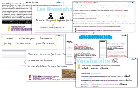 La Grammaire Au Jour Le Jour M Thode Picot Orph Ecole