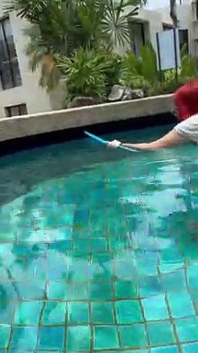 Woman Successfully Relocates Snake From Pool Video Dailymotion