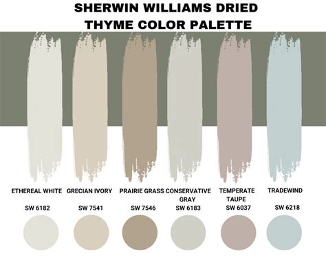 Sherwin Williams Dried Thyme Palette Coordinating And Inspirations