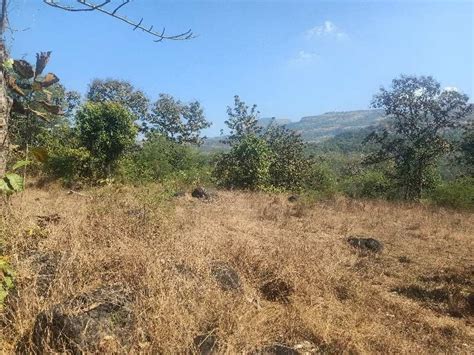 Agricultural Land Sq Ft For Sale In Pali Raigad Rei