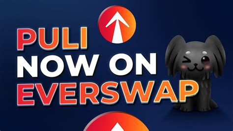 EverRise Lists PULI Token On EverSwap PULI BNB Trading Live New