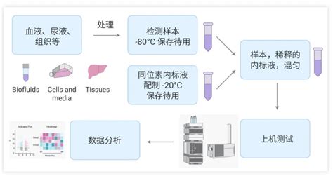 稳定同位素——如何玩转质谱内标定量 Medchemexpress 技术前沿 生物在线 Lab On Web