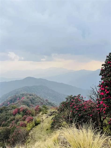 Khumai Danda Trek 2023 Best Short Trek In Nepal