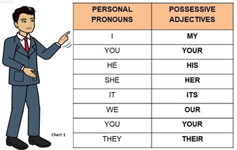 Possessive Adjectives And Possessive Pronouns Study Zone Increase