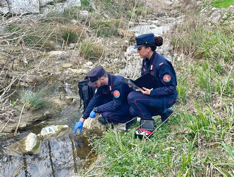 Carabinieri Forestali A Siena Multe Oltre 102mila Euro 10 Denunciati