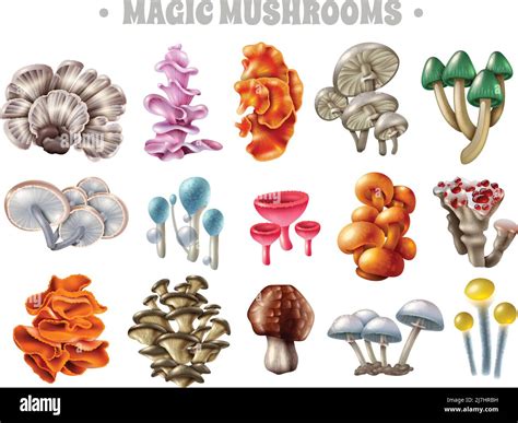 Set Of Magic Mushrooms Of Various Shape And Color With Bubbles And Red