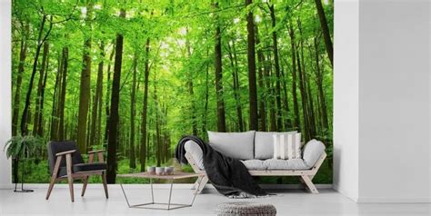 Forest Wallpaper & Tree Wall Murals | Wallsauce US