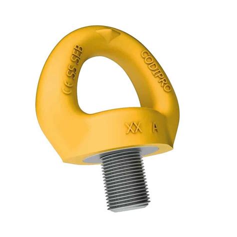 Codipro Swivel Eye Bolt Manufacturer Supplier Wholesaler Trader