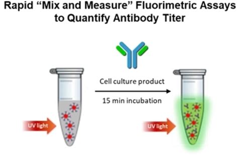 Gold Nanoparticle‐based “mix And Measure” Fluorimetric Assays To Quantify Antibody Titer