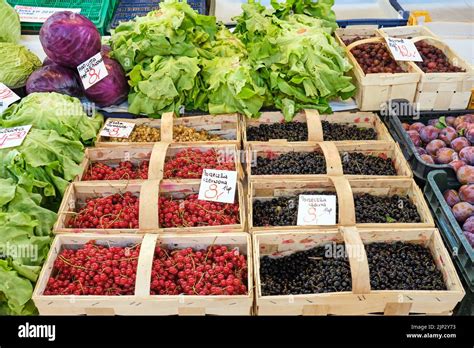 Fruit Vegetable Market Stall Fruits Vegetables Market Stalls Stock