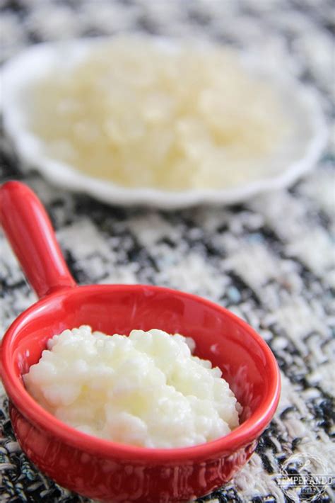 Kefir De Leite Como Cultivar Um Guia B Sico Temperando