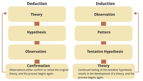 Anth Final Flashcards Quizlet