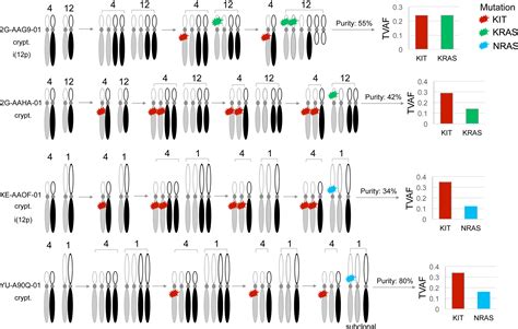 Integrated Molecular Characterization Of Testicular Germ Cell Tumors