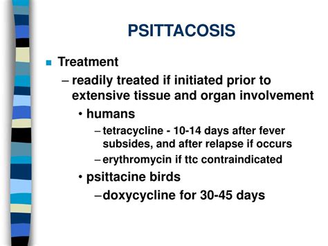 Ppt Psittacosis Powerpoint Presentation Free Download Id61507