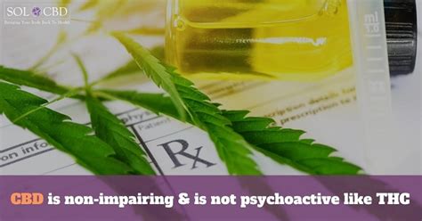 Does Cbd Help Reduce Addictions What Science Says Sol Cbd