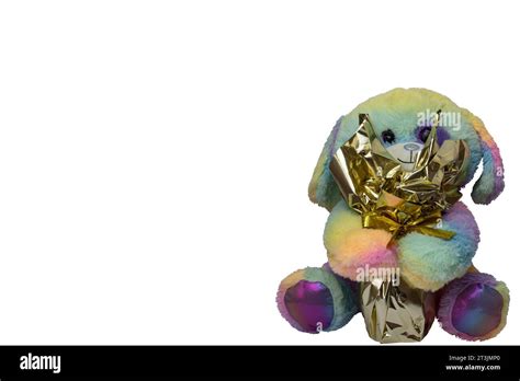 Rainbow Bunny Hi Res Stock Photography And Images Alamy