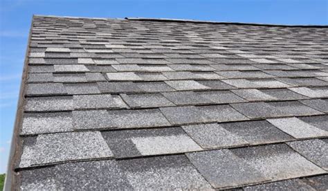 Immediate Roofing Assistance Urgent Roof Repairs And Emergency Roof