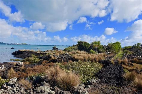 DISCOVERING THE VOLCANO ISLAND RANGITOTO