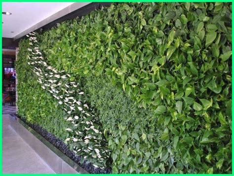 11 Tanaman Yang Cocok Untuk Vertical Garden Jangan Sampai Salah