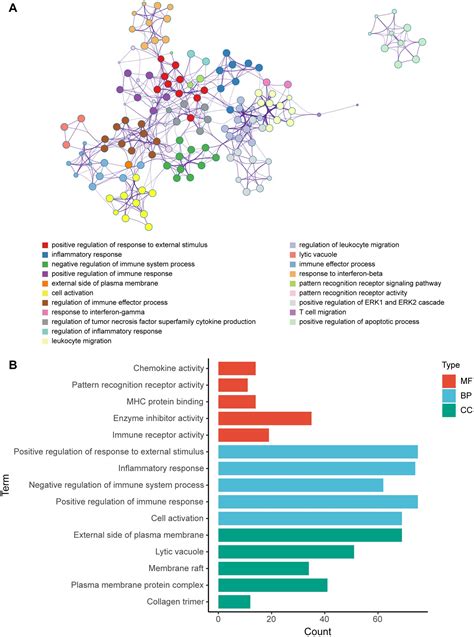 Frontiers Mrna And Lncrna Co Expression Network In Mice Of Acute