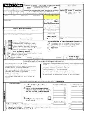Completable En línea hacienda gobierno Planilla Corta 2001