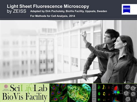 Light Sheet Fluorescence Microscopy