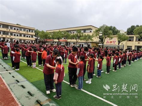 红领巾 我为你自豪！武汉市张家铺学校举办少先队入队仪式 荆楚网 湖北日报网