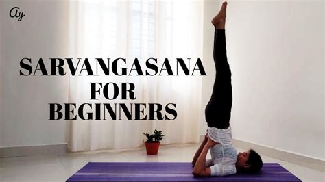 How to Sarvangasana with Preparatory poses for beginners ll Archie's ...