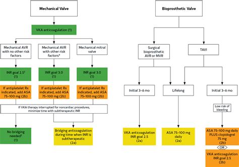 2020 Acc Aha Guideline For The Management Of Patients With Valvular