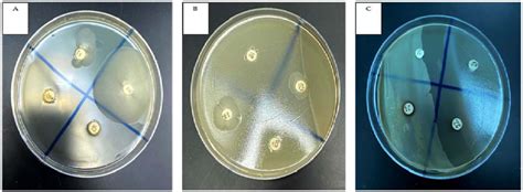 Disk Diffusion Method Of Bacterial Cell Free Supernatant Of