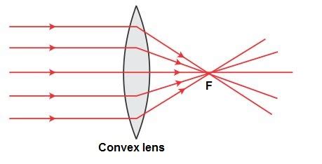 Ray Diagram For Converging Lens - Wiring Diagram