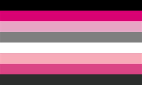 Binary Transfem Pride Flag 2 By Jfifles On Deviantart