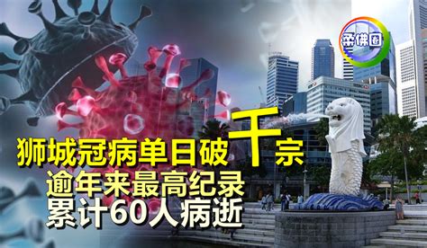 狮城冠病单日破千宗 逾年来最高纪录 累计60人病逝 柔佛圈