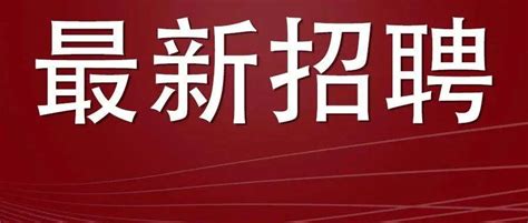 全部纳入编制！招聘教师937人，可落户，专科可报！内容公告教育